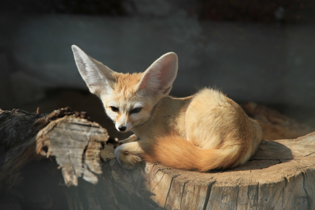 ����������� 163.jpg